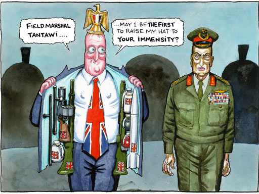 Steve-Bell-22.01.11-001