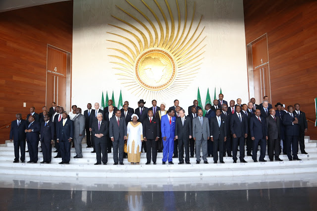 African Union Summit, 2013.